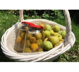 Kompot renklodowy 0,9 l