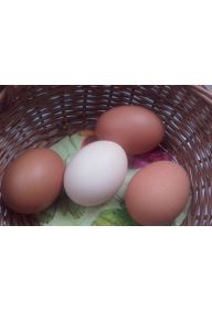 Jaja wiejskie 10 szt.