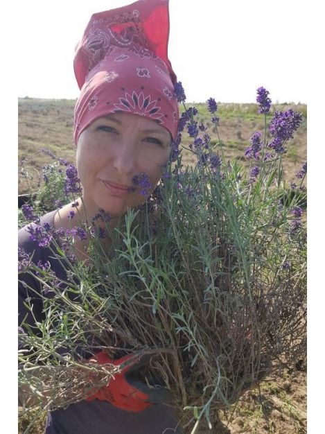 Anna Sitek - Lavendziarnia Stoki 6