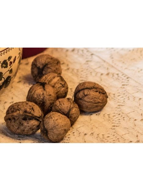 Orzechy włoskie w łupinach