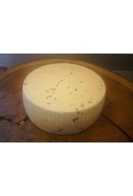 Ser ANTONI z kozieradką (Serownia Podłazy)