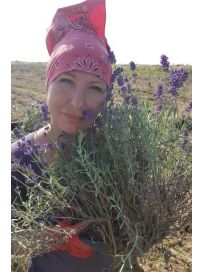 Anna Sitek - Lavendziarnia Stoki 6