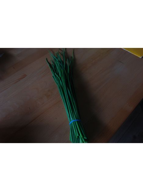 Cebulka zielona - pęczek