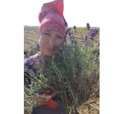 Anna Sitek - Lavendziarnia Stoki 6