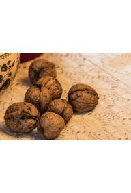 Orzechy włoskie w łupinach