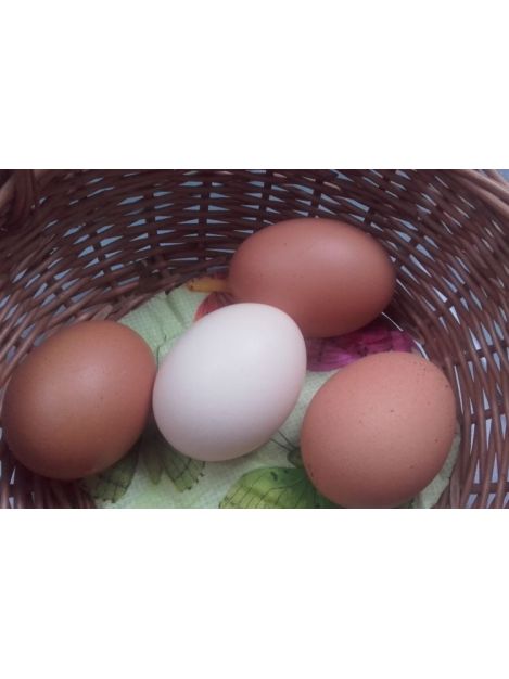 Jaja wiejskie 10 szt.