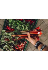 Rabarbar malinowy - pęczek