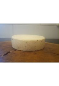 Ser ANTONI z czarnuszką (Serownia Podłazy)