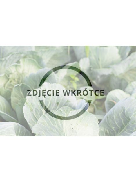 Boczek wędzony (A. Siudek)