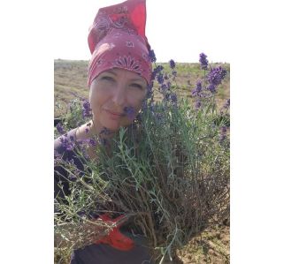 Anna Sitek - Lavendziarnia Stoki 6