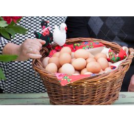 Jaja 10 szt. (R. Lach)