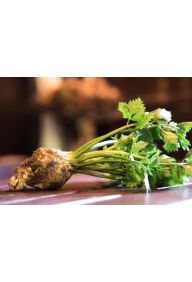 Seler młody z nacią