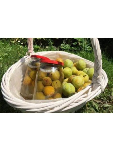 Kompot renklodowy 0,9 l