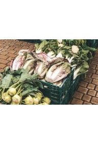 Kapusta pekińska fioletowa