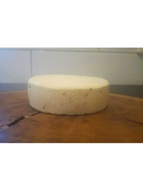 Ser ANTONI z czarnuszką (Serownia Podłazy)